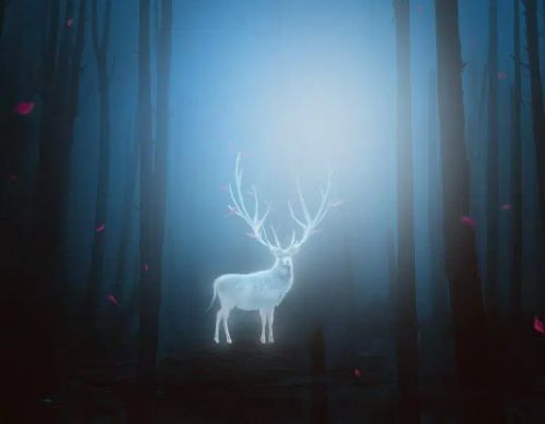 آموزش طراحی گوزن درخشان در فتوشاپ